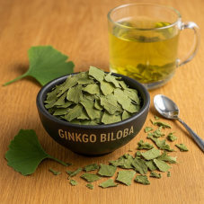 Ginkgo Biloba
