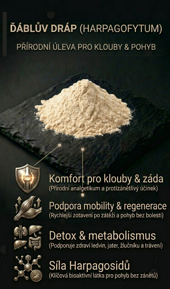 Čistý prášek z kořene ďáblova drápu na tmavém kontrastním pozadí. Vizuál znázorňující čistotu síly africké byliny.